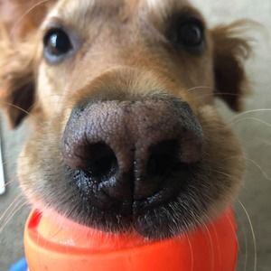 Meet your Posher, Leanne